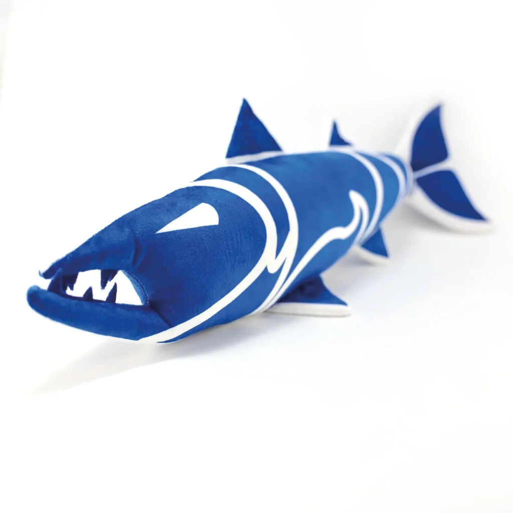 BARRACUDA M7C 1 scaled 2.webp