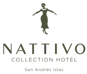 CopiadeLogoNattivoSAIenverde 1920w.png.webp